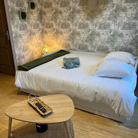 Le Boheme Charme En Coeur De Apartment *