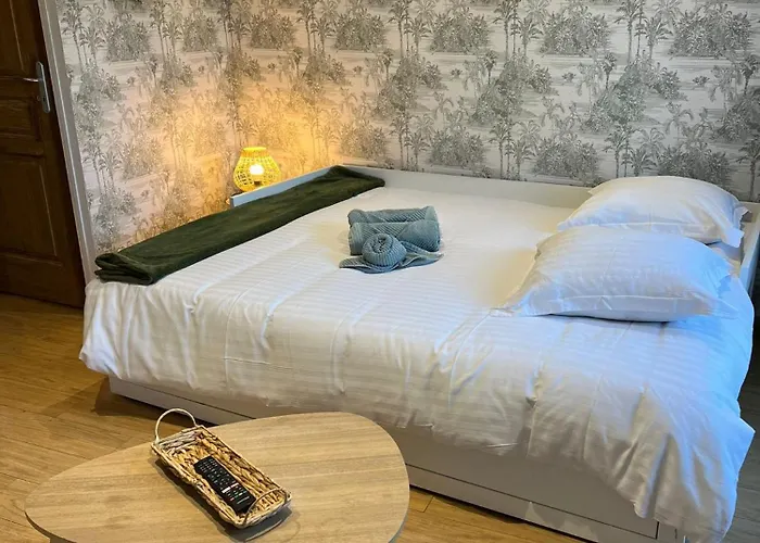 Le Bohème Charme En Cœur De Appartement *